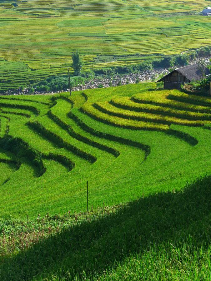 Hmong Sister House And Trekking Apartment ซาปา ภายนอก รูปภาพ